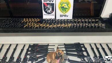 VÍDEO - Quantidade de armas apreendidas pela Polícia Militar no Noroeste é a maior no Paraná