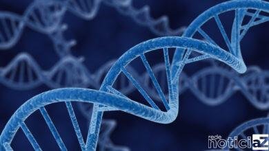 Síndrome de Phelan-McDermid: doença rara que é confundida com o autismo