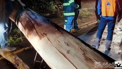 Operação Verão prossegue em Louveira após fortes chuvas