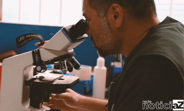 Medida de controle identifica aumento de ovos do Mosquito da Dengue