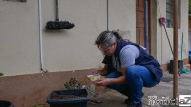 Jundiaí intensifica mutirão contra a dengue