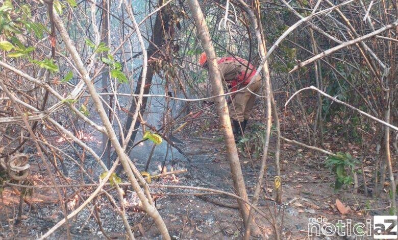 Mais de 16 milhões de hectares foram queimados no Brasil em 2022