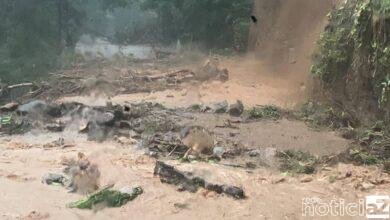 Chuva intensa causa 24 mortes e coloca litoral norte de SP em estado de calamidade