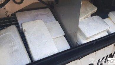 Cocaína é encontrada dentro de carga refrigerada no Porto de Santos