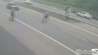 Motorista 'fura' blitz e atropela Policial rodoviário