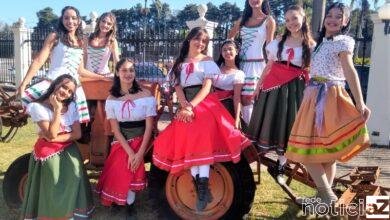 Vinhedo promove Festas da Uva e do Vinho