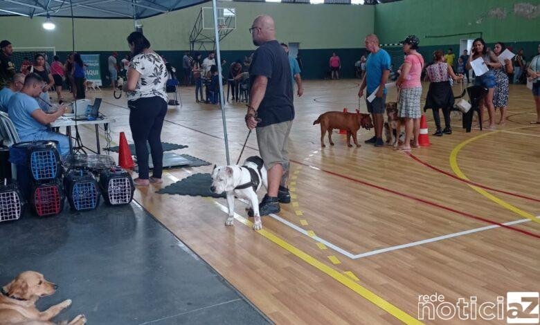 Mais de 390 animais são castrados em Campo Limpo Paulista