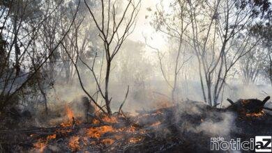Em dois meses, fogo na Terra Indígena Yanomami cai 62%