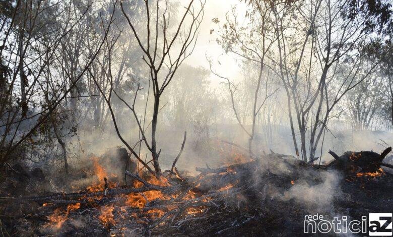 Em dois meses, fogo na Terra Indígena Yanomami cai 62%