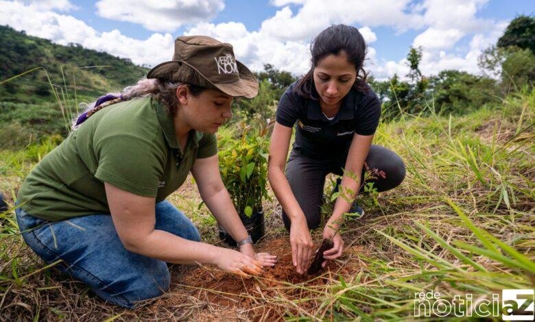 Dia Nacional da Conscientização sobre as Mudanças Climáticas: 5 motivos para fazer do reflorestamento a sua causa