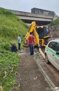 Filhotes de gatos são resgatados dentro de galeria em rodovia de Jarinu