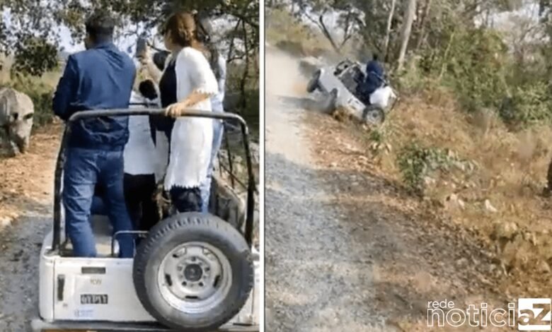 VÍDEO - Rinoceronte persegue turistas durante safári