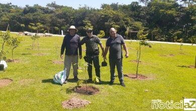 30 mudas de espécies nativas de árvores são plantadas pela Polícia Ambiental em Jundiaí