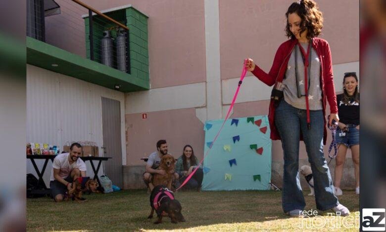 Espaço Jundiaí Empreendedora realiza curso gratuito de formação básica para adestradores