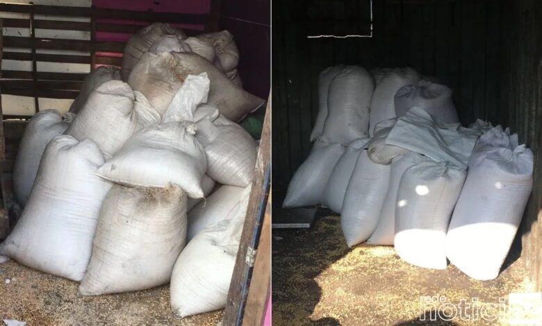 Operação da Polícia resulta em apreensão de 28 toneladas de Soja