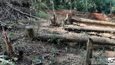 Artesãos e entidades do terceiro setor e da iniciativa privada em Santos que atuam na criação de produtos com material sustentável, madeira, tecido, alumínio, plástico, papelão e outros itens podem se cadastrar no mapeamento iniciado pela Prefeitura para impulsionar o setor. A proposta é identificar todos os produtores que realizam trabalho com recicláveis e materiais sustentáveis para fazer um diagnóstico da produção santista e, a partir daí, promover diálogos, debates e ações coletivas. O diagnóstico da produção santista com material sustentável vai ao encontro dos princípios dos ODS e está inserido na Agenda 2030, proposta pela ONU, como meta a ser alcançada pelas políticas públicas municipais.