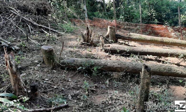 Artesãos e entidades do terceiro setor e da iniciativa privada em Santos que atuam na criação de produtos com material sustentável, madeira, tecido, alumínio, plástico, papelão e outros itens podem se cadastrar no mapeamento iniciado pela Prefeitura para impulsionar o setor. A proposta é identificar todos os produtores que realizam trabalho com recicláveis e materiais sustentáveis para fazer um diagnóstico da produção santista e, a partir daí, promover diálogos, debates e ações coletivas. O diagnóstico da produção santista com material sustentável vai ao encontro dos princípios dos ODS e está inserido na Agenda 2030, proposta pela ONU, como meta a ser alcançada pelas políticas públicas municipais.