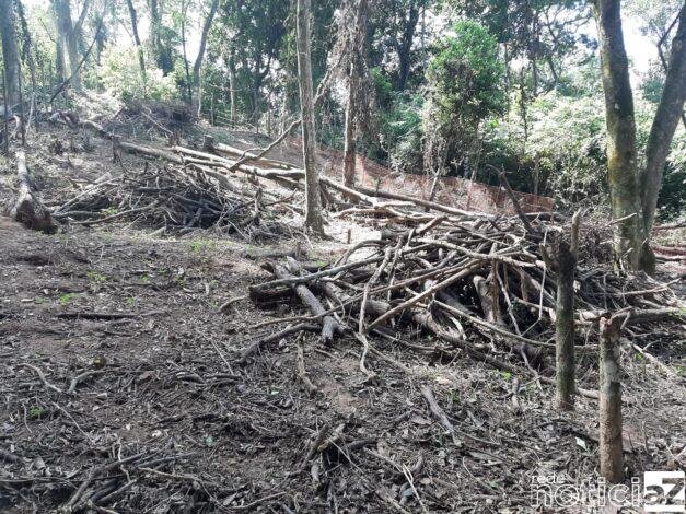 Artesãos e entidades do terceiro setor e da iniciativa privada em Santos que atuam na criação de produtos com material sustentável, madeira, tecido, alumínio, plástico, papelão e outros itens podem se cadastrar no mapeamento iniciado pela Prefeitura para impulsionar o setor. A proposta é identificar todos os produtores que realizam trabalho com recicláveis e materiais sustentáveis para fazer um diagnóstico da produção santista e, a partir daí, promover diálogos, debates e ações coletivas. O diagnóstico da produção santista com material sustentável vai ao encontro dos princípios dos ODS e está inserido na Agenda 2030, proposta pela ONU, como meta a ser alcançada pelas políticas públicas municipais.