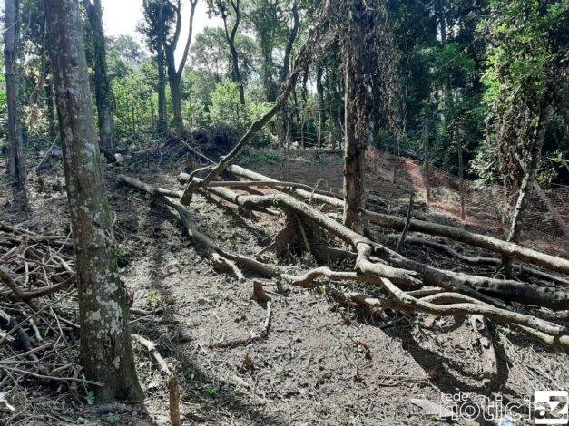 Artesãos e entidades do terceiro setor e da iniciativa privada em Santos que atuam na criação de produtos com material sustentável, madeira, tecido, alumínio, plástico, papelão e outros itens podem se cadastrar no mapeamento iniciado pela Prefeitura para impulsionar o setor. A proposta é identificar todos os produtores que realizam trabalho com recicláveis e materiais sustentáveis para fazer um diagnóstico da produção santista e, a partir daí, promover diálogos, debates e ações coletivas. O diagnóstico da produção santista com material sustentável vai ao encontro dos princípios dos ODS e está inserido na Agenda 2030, proposta pela ONU, como meta a ser alcançada pelas políticas públicas municipais.