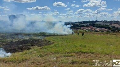Incêndio em área de mata do Gramadão é combatido pela Guarda de Jundiaí