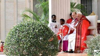 Papa celebra missa do Domingo de Ramos