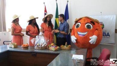 Festa do Caqui de Itatiba tem como destaque a Cidade da Criança