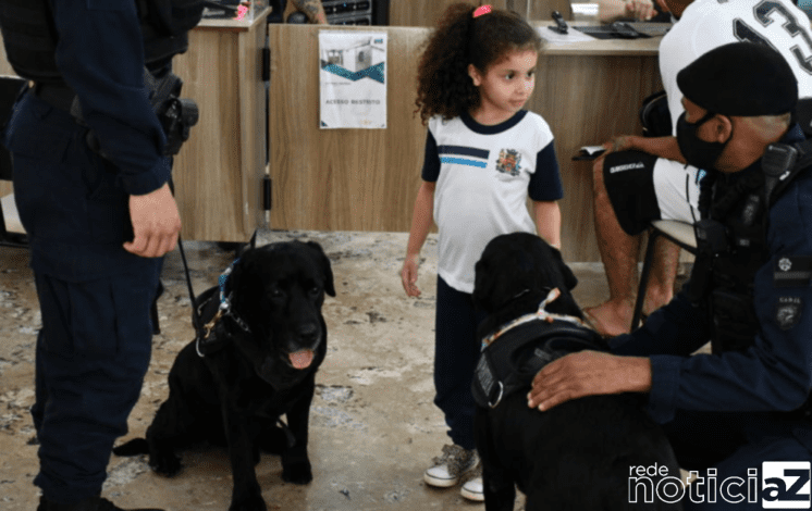 Cão da Guarda Municipal de Jundiaí se "aposenta"
