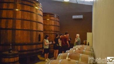 Centro de Enologia será instalado em Jundiaí