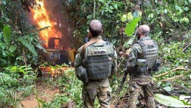 Queimadas caíram 96% em Terra Indígena Yanomami