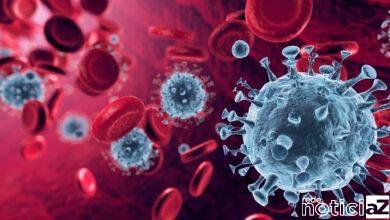 Arcturus: Nova variante da Covid-19 circula em São Paulo