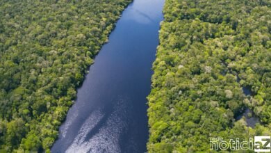 Reino Unido anuncia investimento no Fundo Amazônia