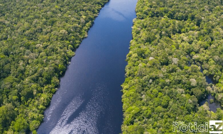 Reino Unido anuncia investimento no Fundo Amazônia