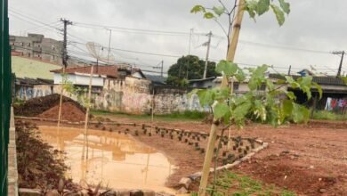 Jardim de Chuva vira referência no remanejamento das chuvas em Jundiaí