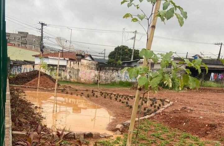 Jardim de Chuva vira referência no remanejamento das chuvas em Jundiaí