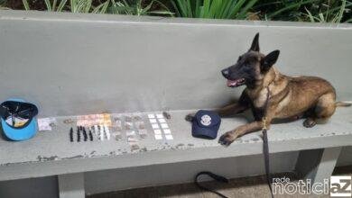 Homem é preso por tráfico após cão encontrar drogas