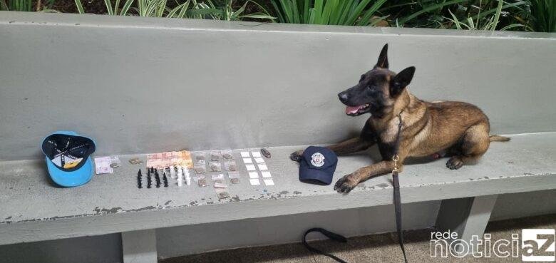 Homem é preso por tráfico após cão encontrar drogas