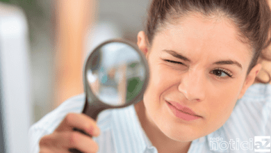 Pika de 20cm entra em extinção, segundo cientistas