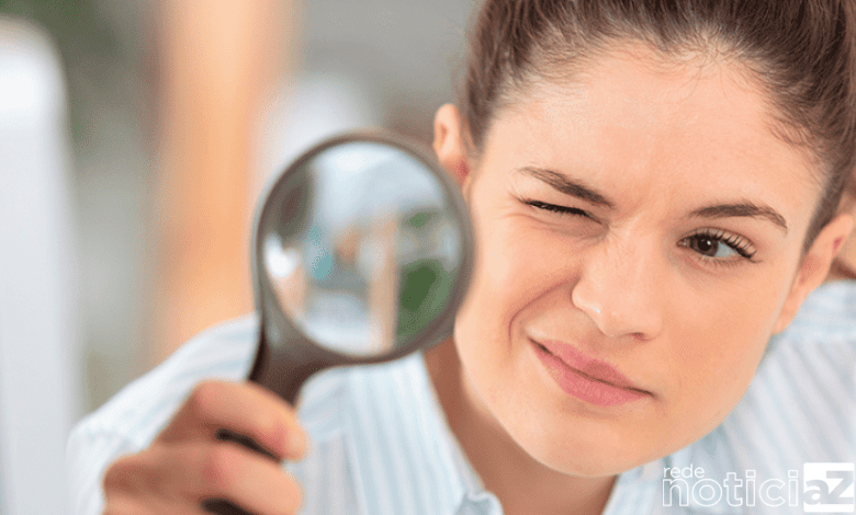 Pika de 20cm entra em extinção, segundo cientistas