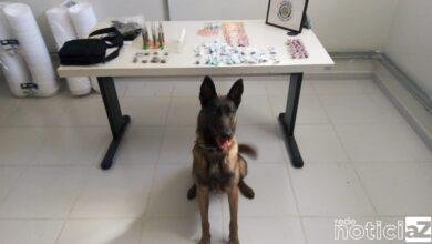 Homem é preso acusado de tráfico em Louveira