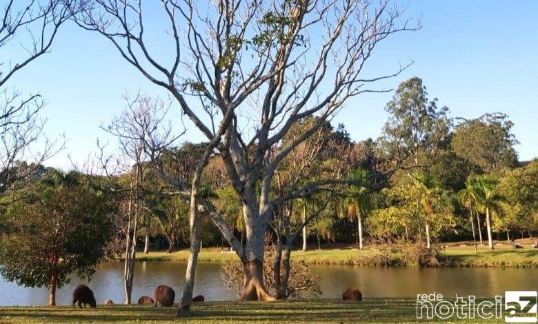 Prefeitura de Itatiba orienta população sobre Febre Maculosa
