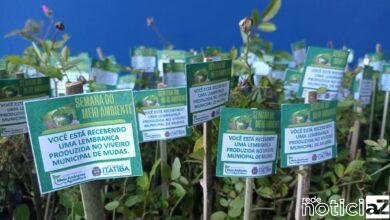 Itatiba distribui 7,5 mil mudas para a população