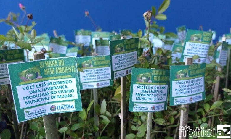Itatiba distribui 7,5 mil mudas para a população