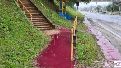 Prefeitura notifica Sabesp a respeito de vazamento às margens da Rodovia