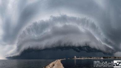 Artigo - É preciso agir para evitar o colapso climático