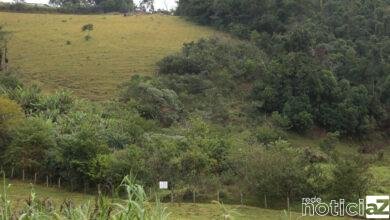 Áreas de restauração ecológica de Jundiaí serão levantadas em estudo