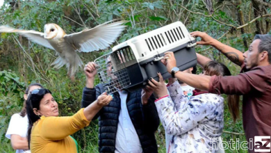 Parceria entre a Prefeitura e a Associação Mata Ciliar promove a soltura de animais silvestres