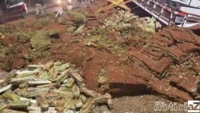 VÍDEO - 1 Tonelada de maconha é encontrada em frente Batalhão da PM