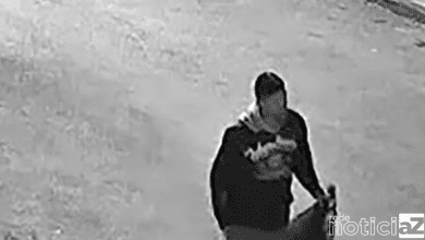 Ladrão cai do telhado e assusta casal de idosos