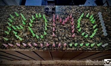 Guarda Civil Municipal de Campo Limpo Paulista apreende drogas