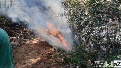 Incêndio na Serra do Japi já chega a 200 mil metros quadrados